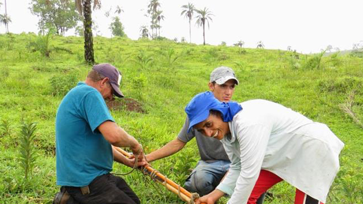 SITAWI apoia Projeto de Extrativismo Sustentável de Macaúba Orgânica