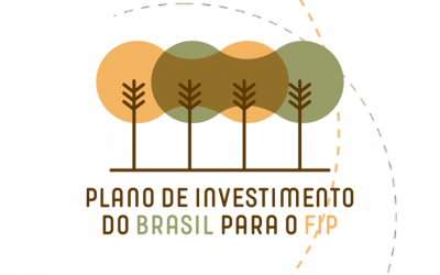 Climate Ventures apoia aceleração de negócio junto ao FIP Macaúba