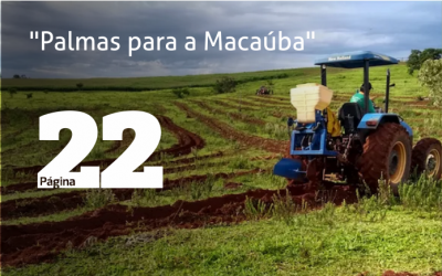 “Palmas para a macaúba”