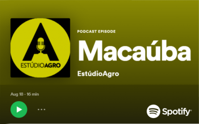 Podcast – Macaúba – Estúdio Agro