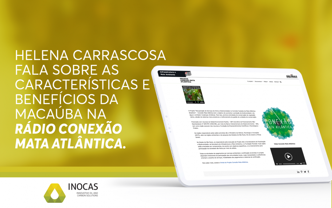 Helena Carrascosa fala sobre as características e benefícios da macaúba na Rádio Conexão Mata Atlântica