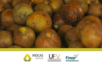 INOCAS participa de projeto de bioeconomia junto à UFV